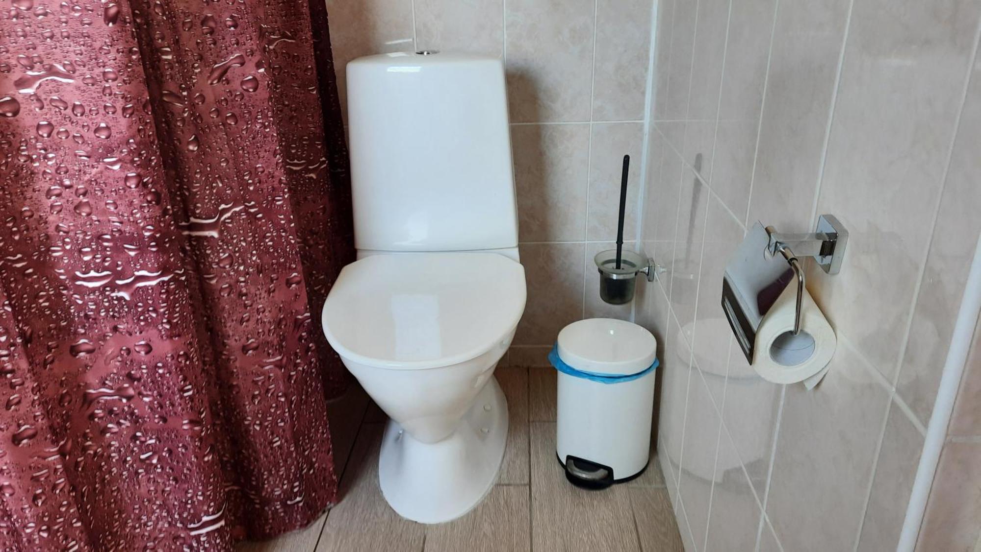 Willipu Guesthouse Alatskivi Ngoại thất bức ảnh